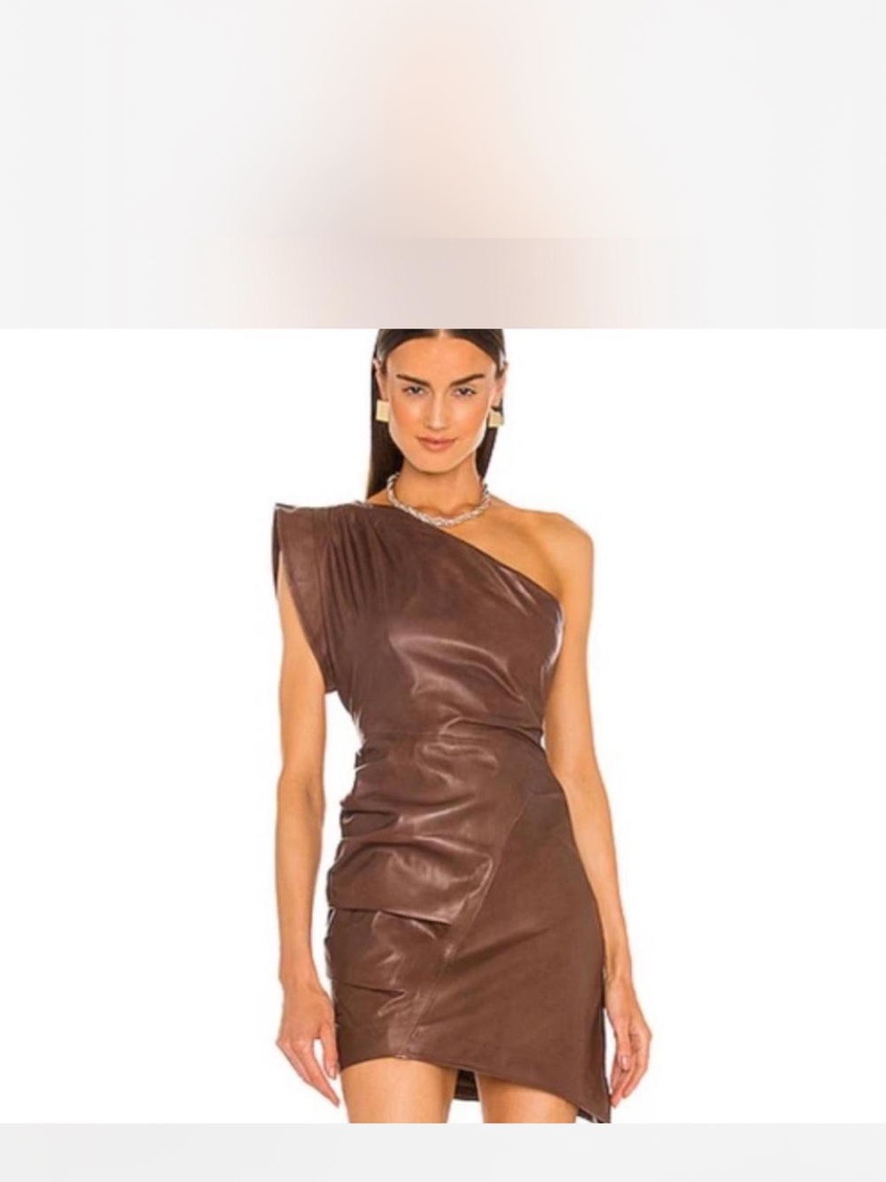 NWT Lamarque Corey Mini Dress in Brown